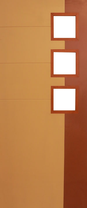 Veiw Panel Doors | Mackply Veiw Panel Doors | Wooden Flush Doors | Wooden Doors Sri Lanka, Flush Doors, Wooden Doors